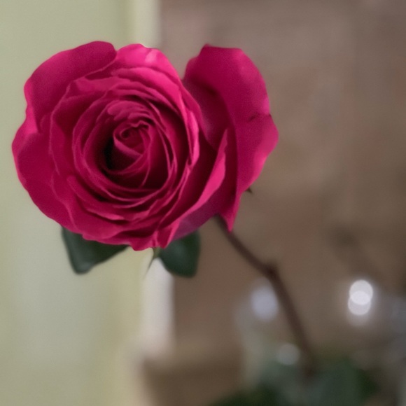 Meet your Posher, Phanat - Picture 1 of 1